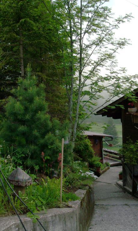 Chalet Weidli Achseten Exterior foto